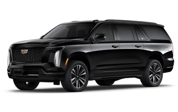 Untitled 604 x 382 px 1