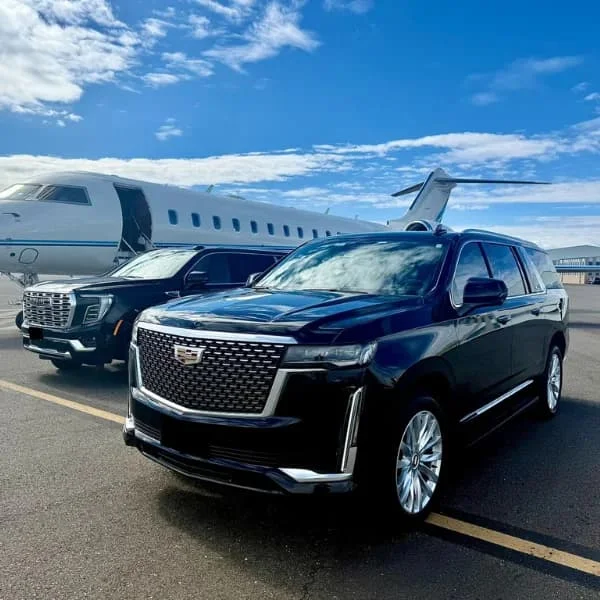 Trial Page 30 airport service