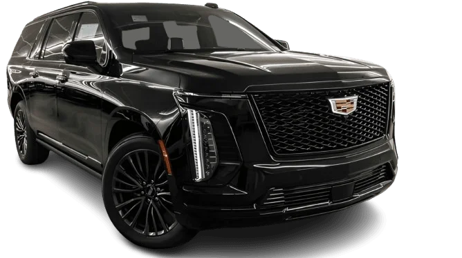 Untitled 2250 x 1260 px 7 removebg preview