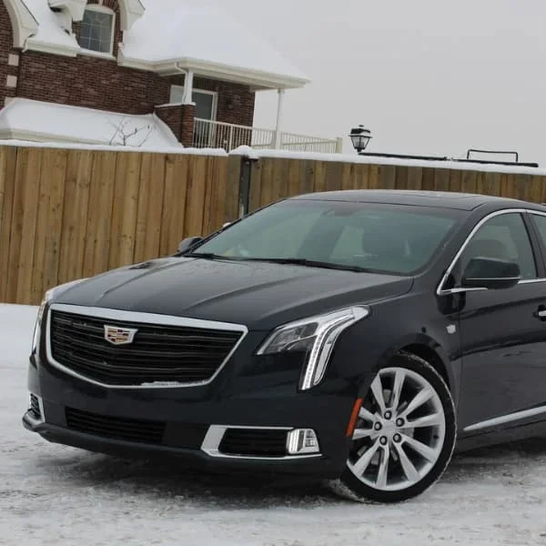 Trial Page 33 image 46 4